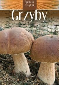 Grzyby - Marek Snowarski