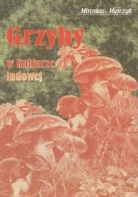 Grzyby w kulturze ludowej - Mirosław Marczyk