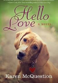Hello Love - Karen McQuestion