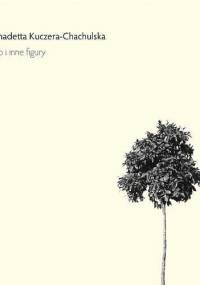 Hiob i inne figury - Bernadetta Kuczera-Chachulska