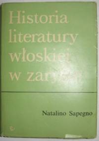 Historia literatury włoskiej w zarysie - Natalino Sapegno