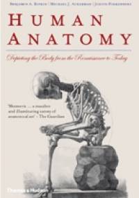 Human Anatomy