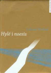 Hyle i noesis - Łukasz Wróbel