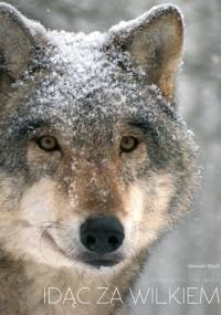 Idąc za wilkiem - Sławomir Wąsik
