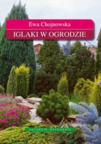 Iglaki w ogrodzie. - Ewa Chojnowska