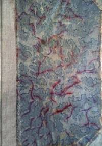 Ilustracja w książkach dla dzieci i młodzieży - Stefan Szuman