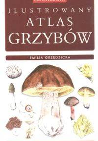 Ilustrowany atlas grzybów - Emilia Grzędzicka