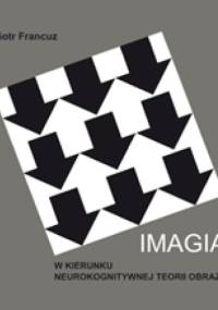 Imagia. W kierunku neurokognitywnej teorii obrazu. - Piotr Francuz