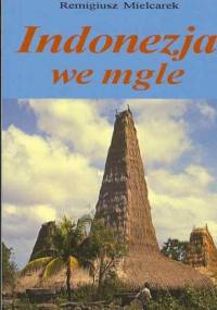 Indonezja we mgle - Remigiusz Mielcarek
