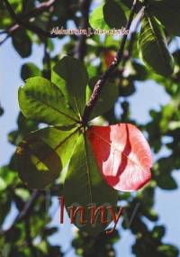 Inny - Aleksandra J. Starostecka