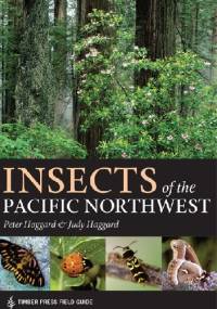 Insects of the Pacific Northwest - Judy Haggard, Peter Haggard