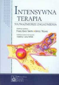 Intensywna terapia. Najważniejsze zagadnienia - Fang Smith, Joyce Yeung