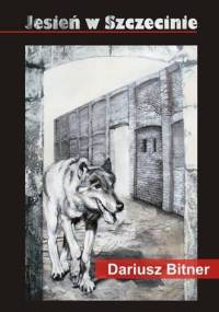 Jesień w Szczecinie - Dariusz Bitner