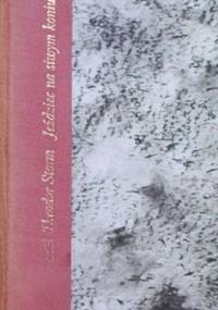 Jeździec na siwym koniu - Theodor Storm