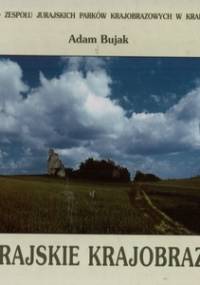 Jurajskie krajobrazy - Adam Bujak