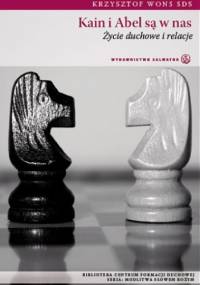 Kain i Abel są w nas. Życie duchowe i relacje - Krzysztof Wons SDS