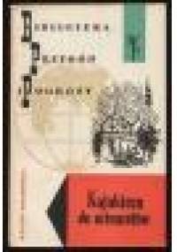 Kajakiem do minaretów - Wacław Korabiewicz