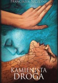 Kamienista droga - Franciszek Szczęsny