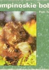 Kampinoskie bobry - Piotr Topiński
