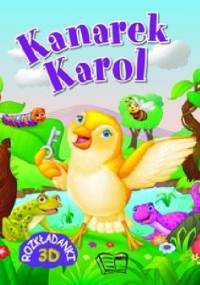 Kanarek Karol. Rozkładanki 3D - praca zbiorowa