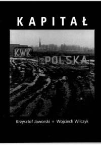 Kapitał w słowach i obrazach - Krzysztof Jaworski, Wojciech Wilczyk