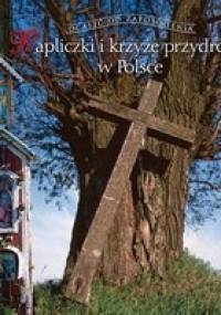 Kapliczki i krzyże przydrożne - Tomasz Czerwiński