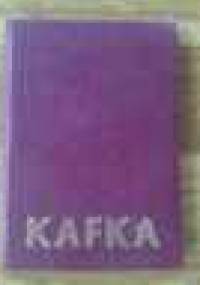 Karne zadanie : (z dzienników 1910-1923) - Franz Kafka