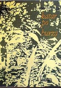 Katar po burzy - Ewa Nowacka