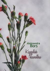 Kawałek po kawałku - Aleksandra Bors