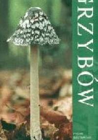 Kieszonkowy atlas grzybów - Shelley Evans, Geoffrey Kibby