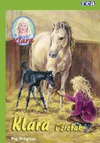Klara i źrebak - Pia Hagmar
