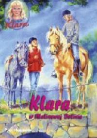 Klara w Malinowej Dolinie - Pia Hagmar