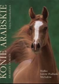 Konie arabskie - Edyta Trojańska-Koch
