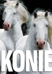 Konie - praca zbiorowa