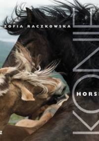 Konie.Horses - Zofia Raczkowska