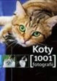 Koty. 1001 fotografii - praca zbiorowa