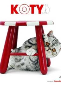 Koty - Giorgio Ferrero, Federica Romagnoli