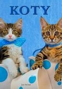 Koty - Jon Stroud