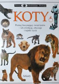 Koty - Juliet Clutton-Brock