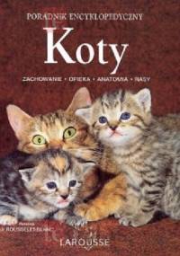 Koty - Pierre Rousselet-Blanc