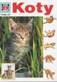 Koty - Rainer Köthe