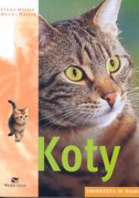 Koty. Zwierzęta w domu - Monika Wegler, Ulrike Muller