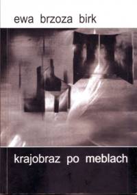 Krajobraz po meblach - Ewa Brzoza-Birk