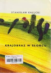 Krajobraz w Słońcu - Stanisław Kałucki