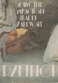 Krzemionki - Sławomir Sałaciński, Marek Zalewski