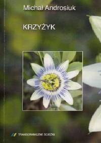 Krzyżyk - Michał Androsiuk
