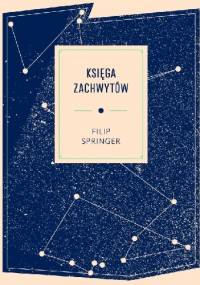 Księga zachwytów - Filip Springer