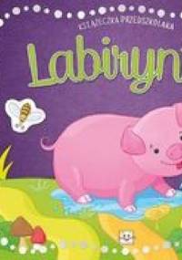 Labirynty. Książeczka przedszkolaka - Anna Podgórska