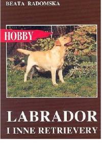 Labrador i inne retrievery - Beata Radomska