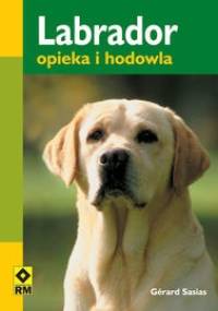 Labrador. Opieka i hodowla - Gerard Sasias